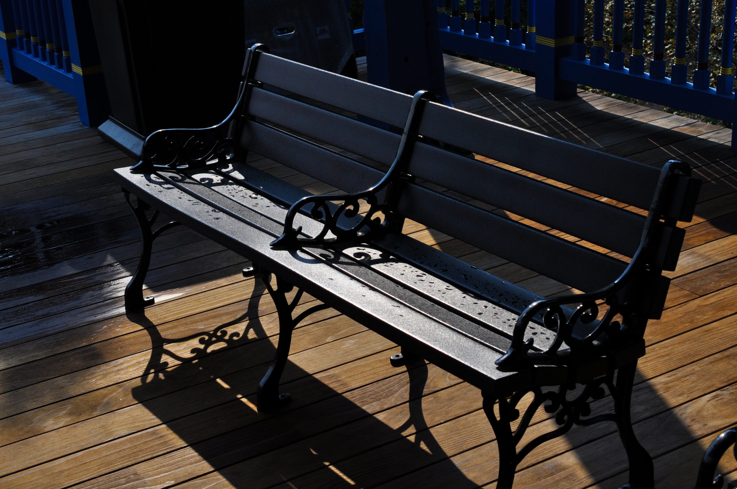 Wet bench, morning light