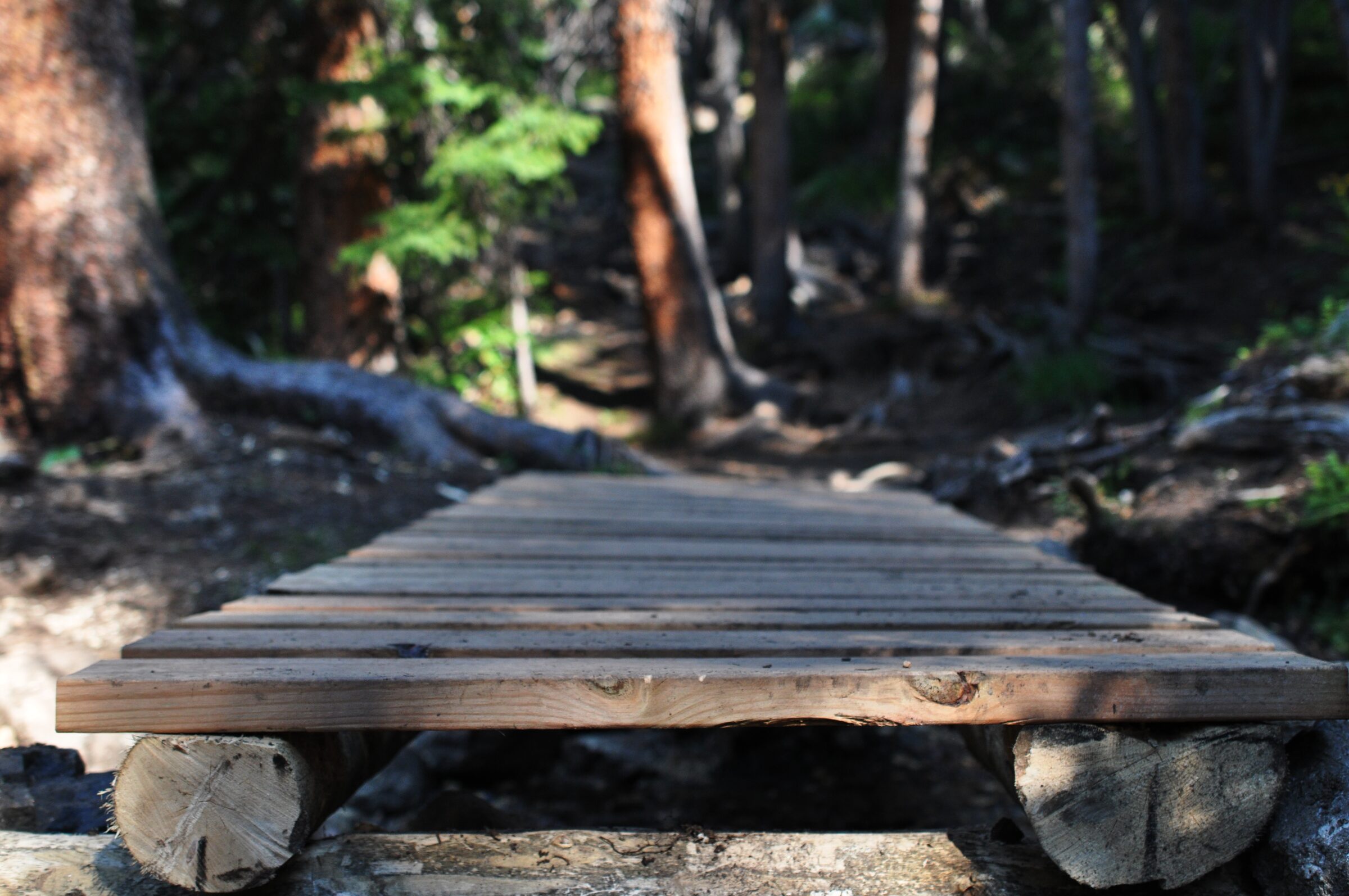Bridge on the trail